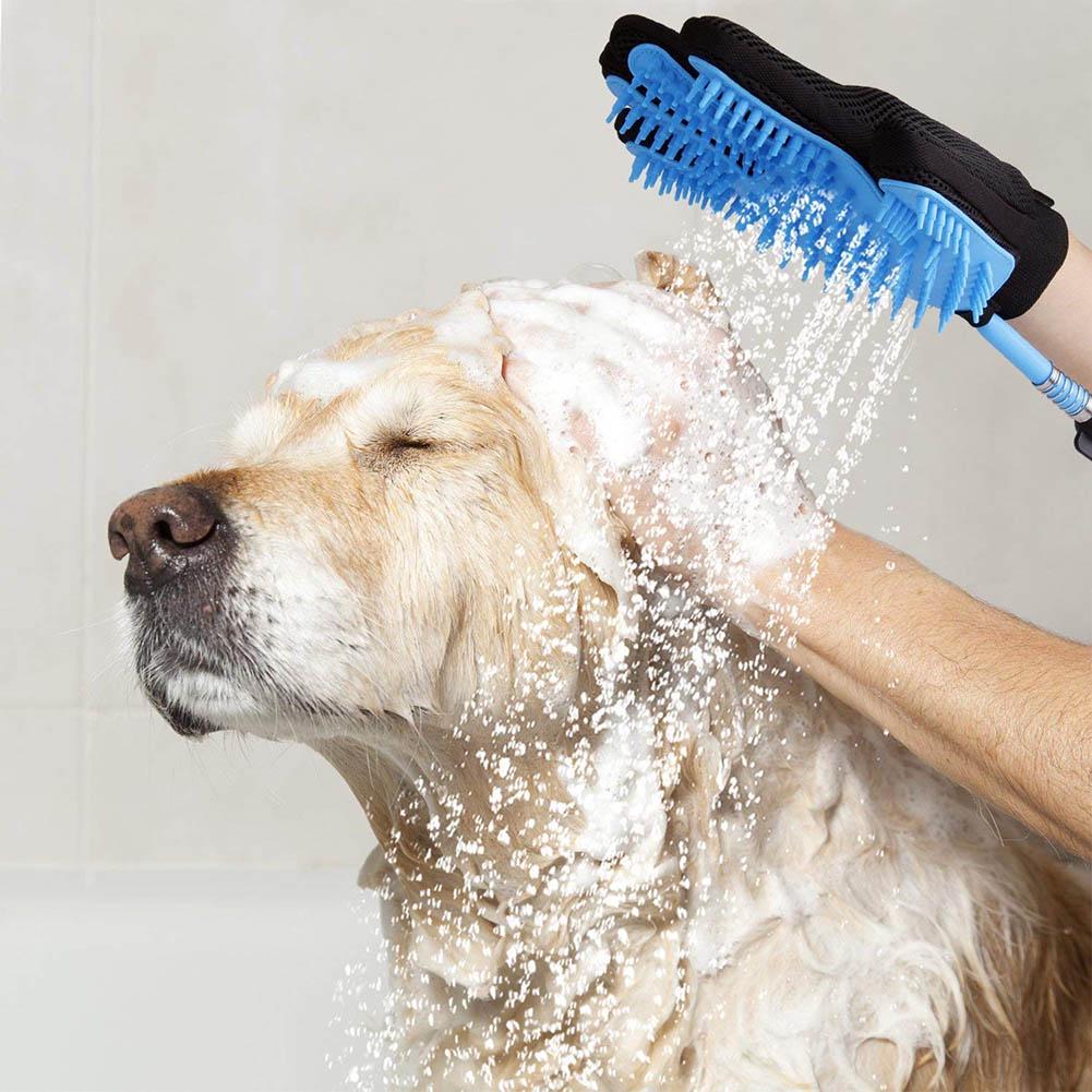 Dog Bath and Brush Services Ocala
