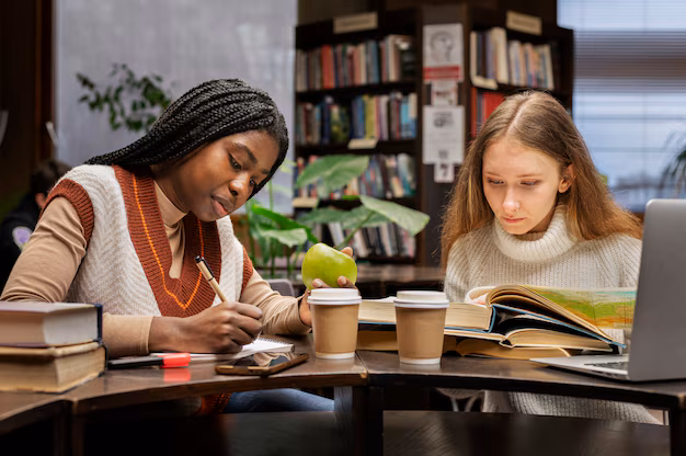best tefl assignment help