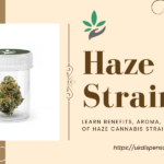 Haze Strain