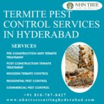 Termite Pest Control Services in Hyderabad (4)