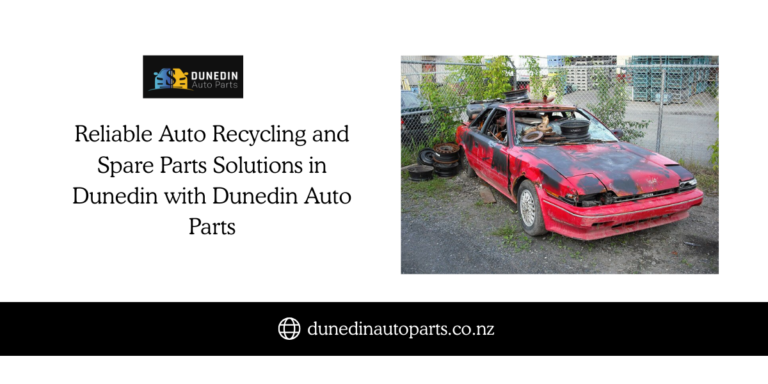 Dunedin Auto Parts (2)