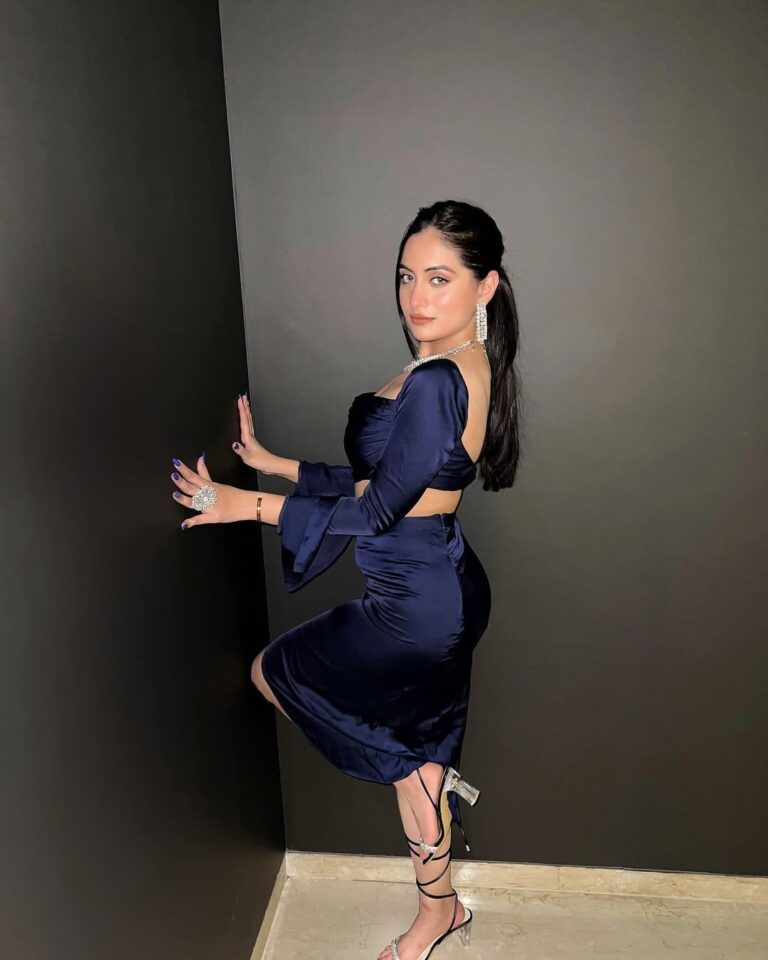 Goa Escorts