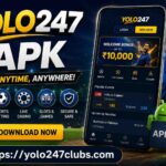 YOLO247 APK