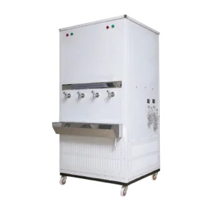 FE-300-S.S-300x300