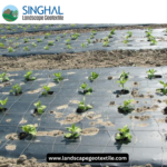 mulch film
