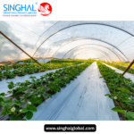 Greenhouse Film