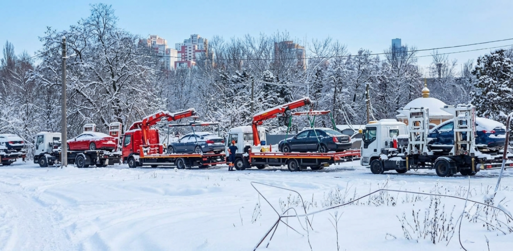 car transport (16)
