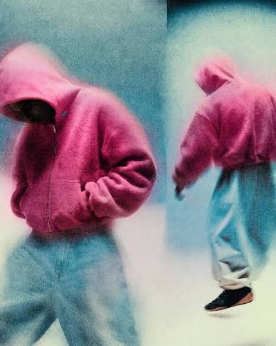 skylrk hoodie
