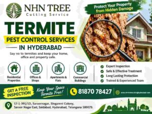 termite 1-50kb (2)